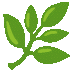 logo feuille