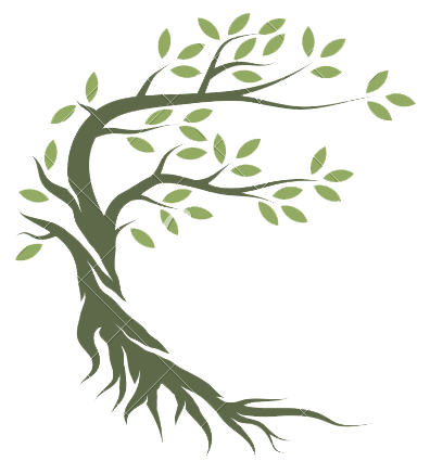 1 logo arbre de vie sophro06